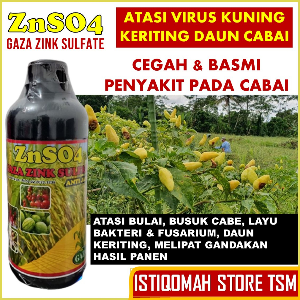 Pupuk Cabe ZnSO4 GAZA ZINK SULFATE Mampu Mencegah Cabe Daun Kuning Keriting Atasi Layu dan Patek Cab