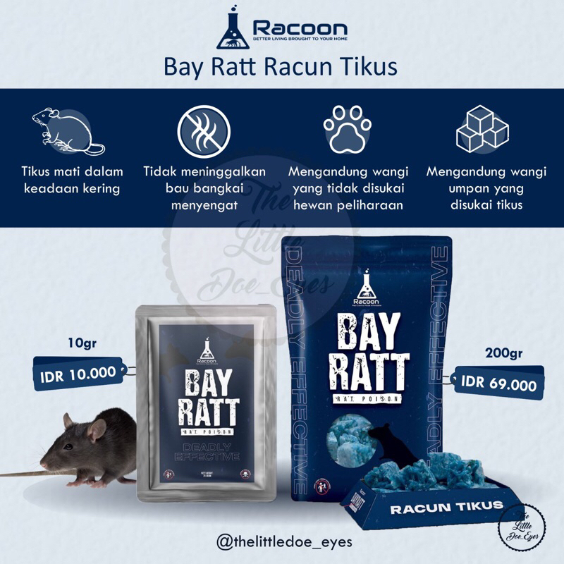 Racoon Bay Ratt Racun Tikus