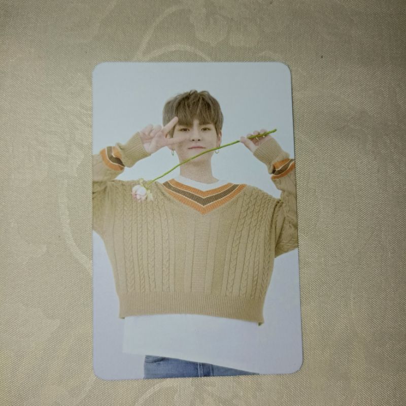 AR Photocard/PC Yoshi Treasure Full Album Treasure Effect First Edition Only