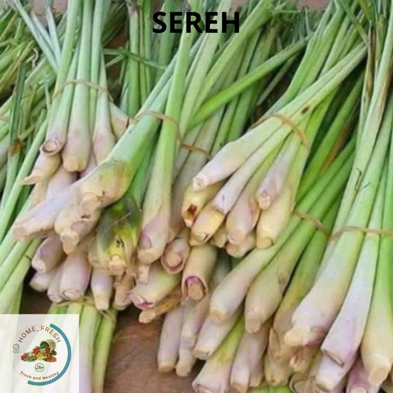 

Sereh Bumbu Rempah Segar 250 500 1000 Gram
