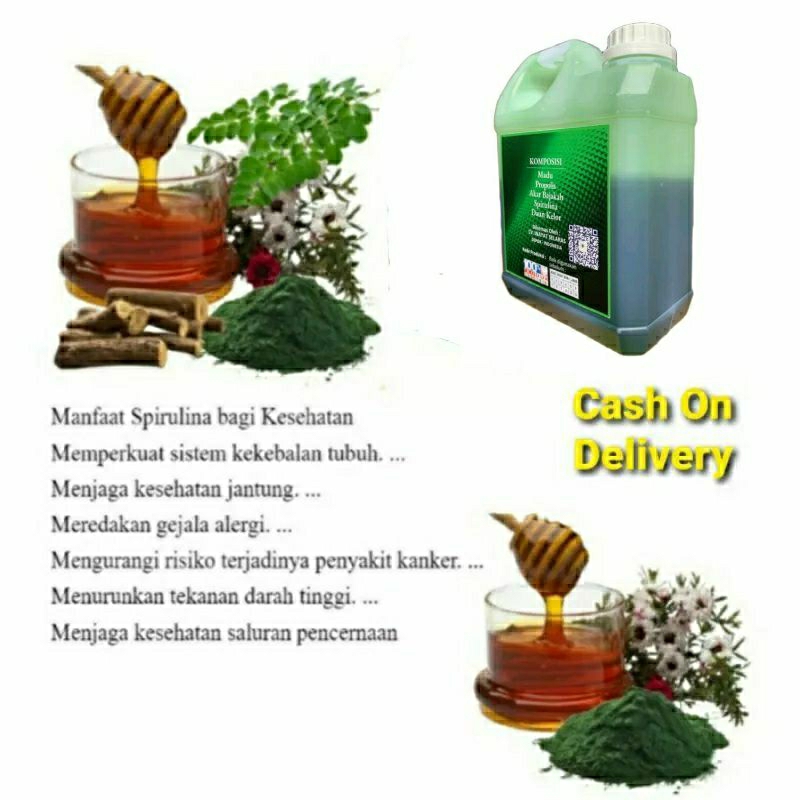 

Madu Herbal Hijau Al Mar-ah 1kg Akar Bajakah Spirulina Daun Kelor dan Propolis