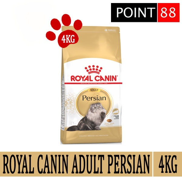 ROYAL CANIN ADULT PERSIAN 4KG