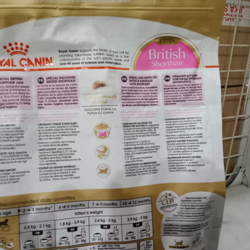 Royal Canin British Shorthair Kitten 2kg | makanan kucing anakan british royal canin anakan
