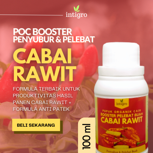 Pupuk Cabe Berbuah Lebat / Pupuk Cabe Booster / Pupuk Cabe Rawit Agar Berbuah Lebat / Pupuk Pelebat 