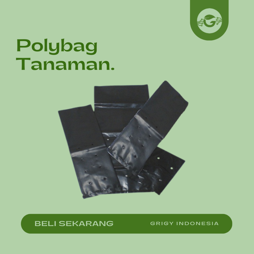POLIBAG SUPER TANAMAN / POLYBAG TANAMAN ECER SATUAN