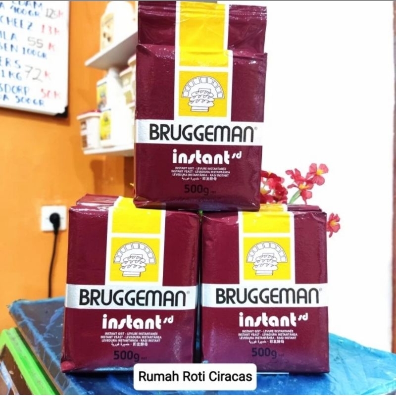 

BRUGGEMAN YEAST RAGI DRY PENGEMBANG ROTI SAF INSTAN FERMIPAN KERING