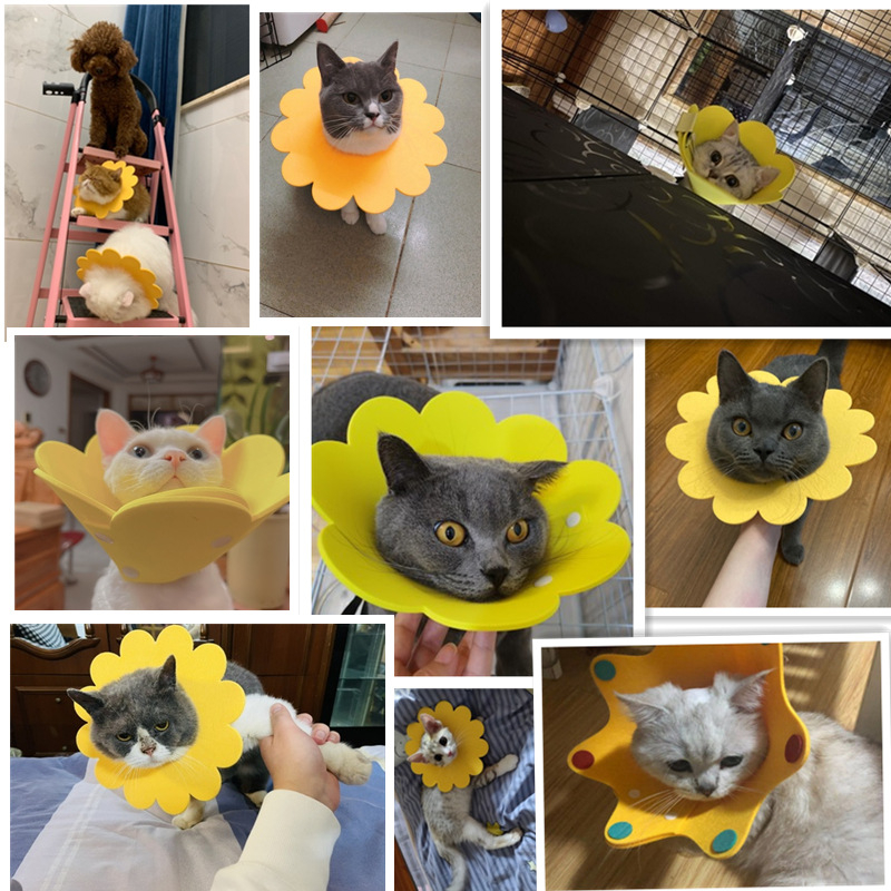 Collar Pelindung Leher Kucing Anjing Kelinci Collar Spon Corong Penutup