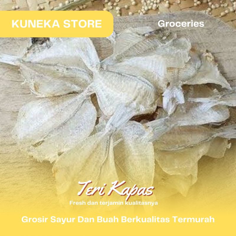 

KUNEKA IKAN ASIN KAPAS IKAN PAKANG IKAN KAPASAN MURAH PROMO SEGAR KUALITAS