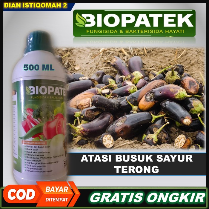 Terbaru BIOPATEK Fungisida & Bakterisida Hayati Pupuk Paling Ampuh Atasi Busuk Buah Terong – Obat Bu