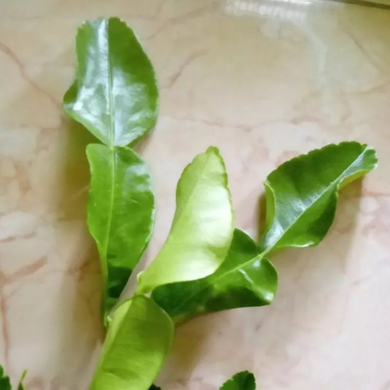 

Daun jeruk purut 1 lembar