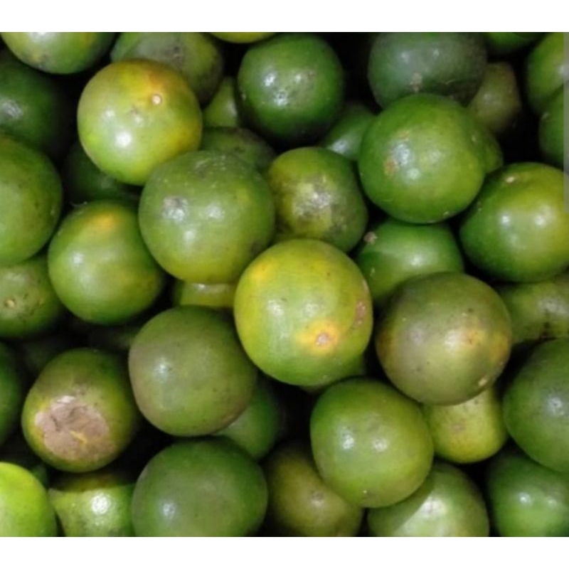 

JERUK PERAS SIAM MADU FRESH / 1 Kg