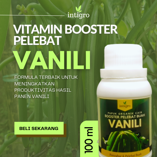 Pupuk Vanili Pupuk Organik Cair Vanili Cepat Berbuah Lebat Pupuk Booster Tanaman Vanili Pupuk Khusus