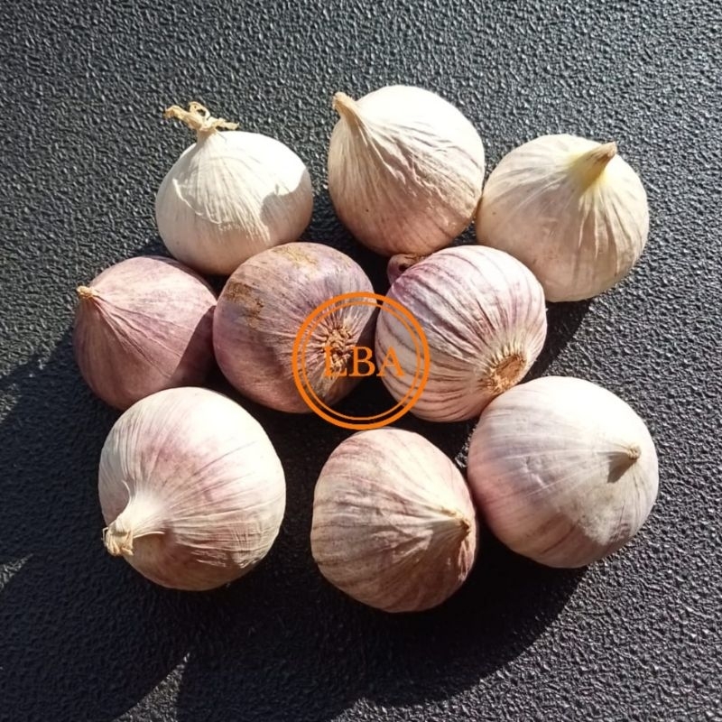 

Bawang Putih Tunggal Ukuran Besar 100 Gram
