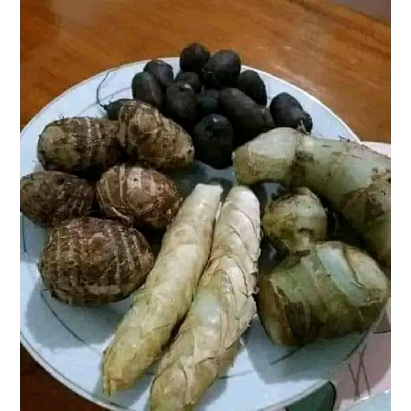 

PAKET UMBI UMBIAN 1KG