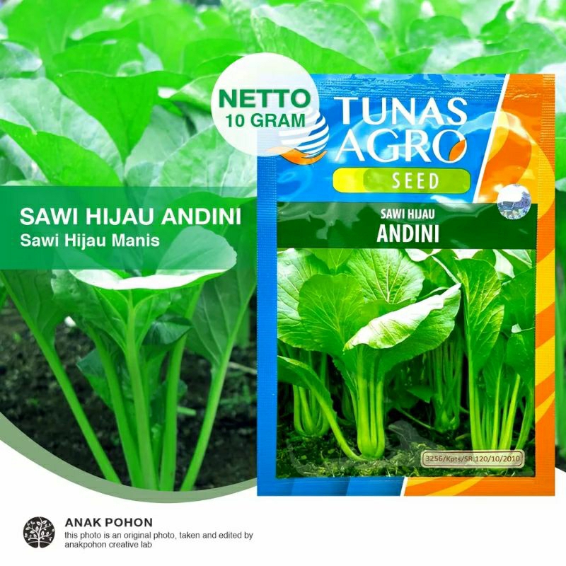 

Sawi hijau ANDINI TUNAS agro, caisim 10 gr,