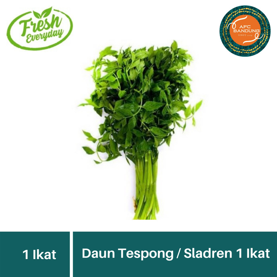 

Sayur Daun Tespong Sladren 1 Ikat