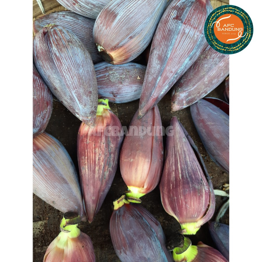

Sayur Jantung Pisang Entong Satu Buah Besar