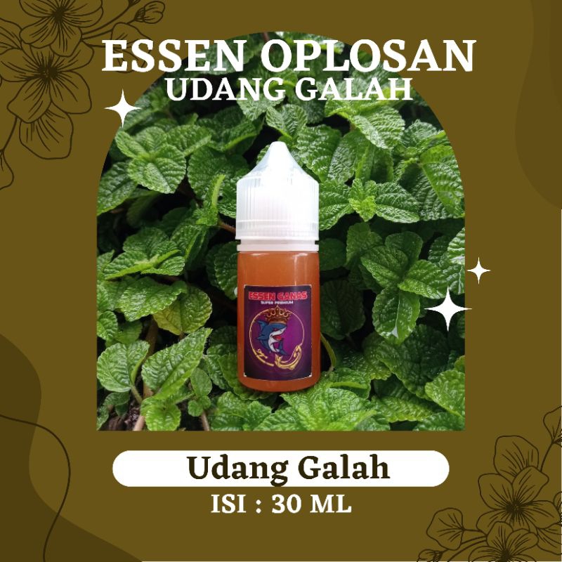 ⭐⭐⭐⭐⭐PALING DICARI  ESSEN MANCING UDANG GALAH,UNTUK SEGALA CUACA/PENGUAT AROMA UMPAN PANCING UDANG G