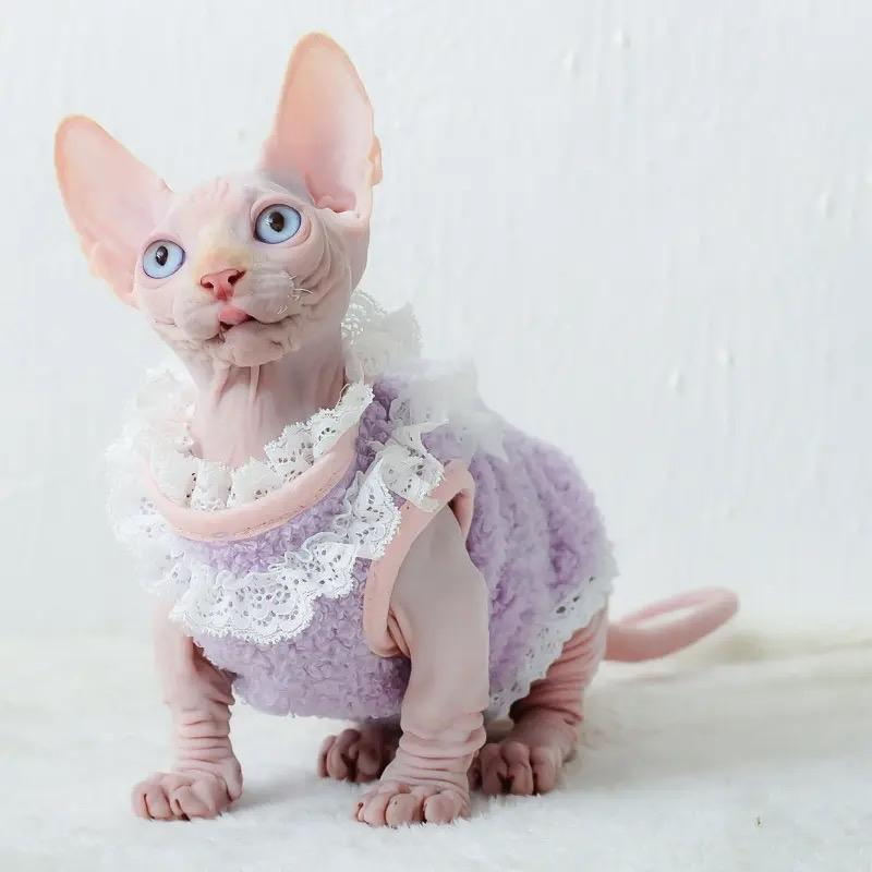 PET TREE • Granny Tank SPHYNX baju anjing kucing SPHYNX lucu