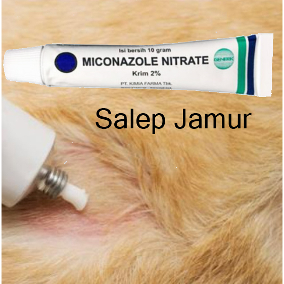 Salep Jamur Kucing Miconazole Nitrate Obat Jamur Kucing Anjing Gatal Gatal