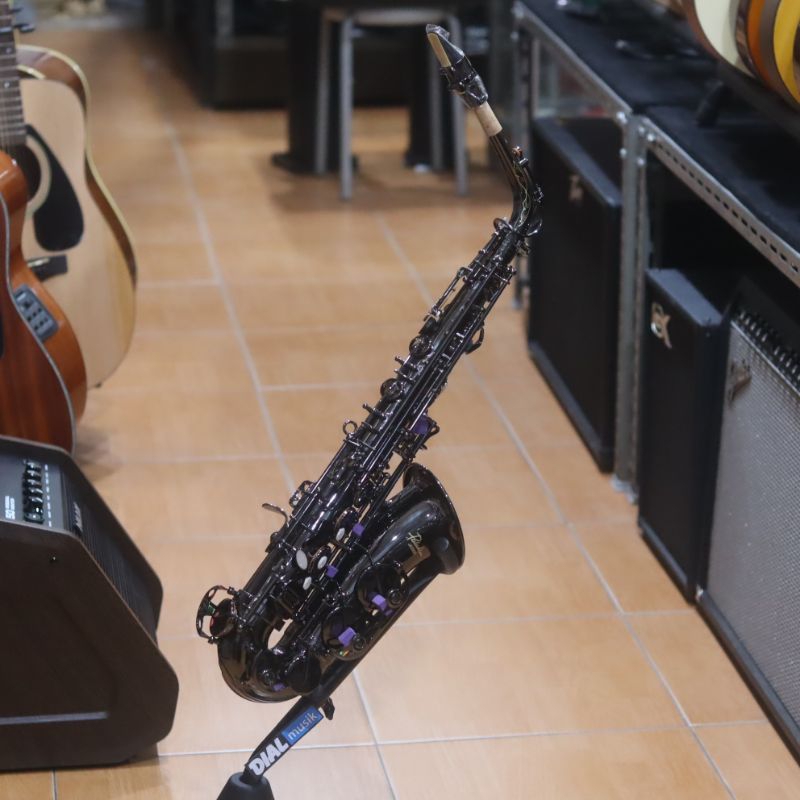 Paladin JAS 920 Alto Saxophone Cosmo Black With Case Fullset - Saxophone Alto