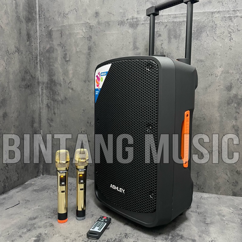 Speaker portable ashley IR500 original 12 inch Speaker Ashley ir 500