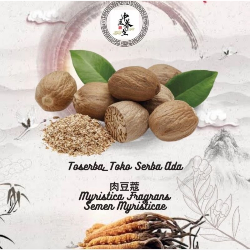 

100gr Herbal Rou Dou Kou 肉豆蔻 Mace Myristica Fragrans Premium Grade