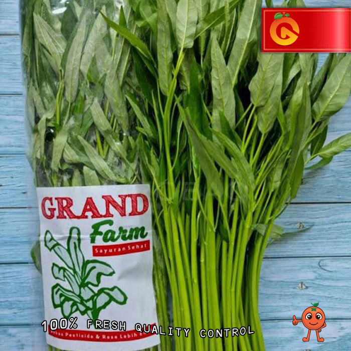 

SAYUR KANGKUNG ORGANIK GREEN FARM