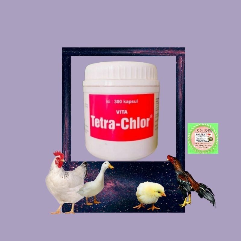 1 botol vita tetra chlor 300 kapsul obat ayam sakit burung merpati flu diare ori by medion