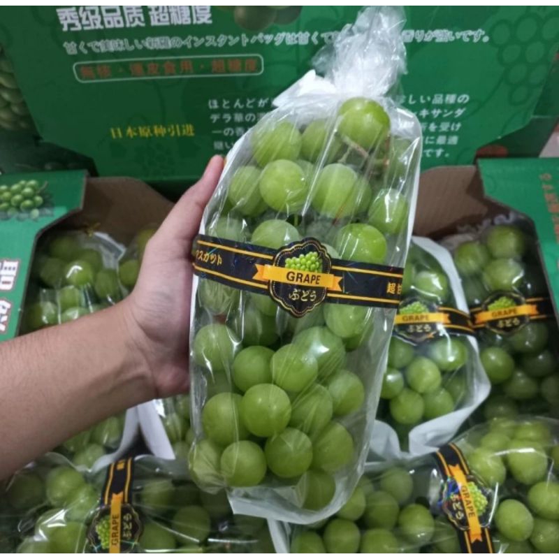 

Anggur Shine Muscat Manis Fresh Import Per Pack
