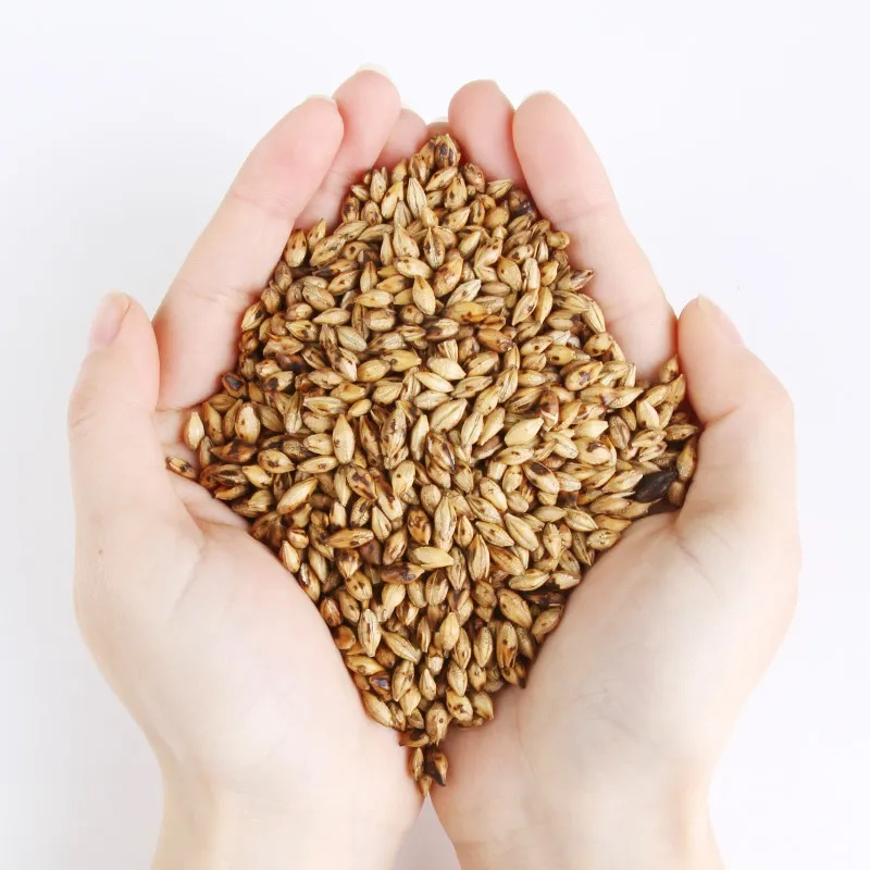 

Teh Barley / Bori Cha Boricha Mugicha / Teh Jelai / Barley Tea