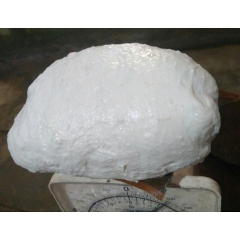 PULUT BURUNG ANTI ZONK 500g(COD)