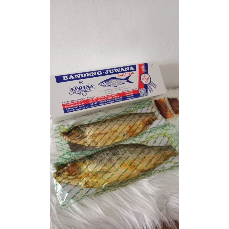 

Ikan Bandeng Presto Juwana Semarang Vaccum Basah