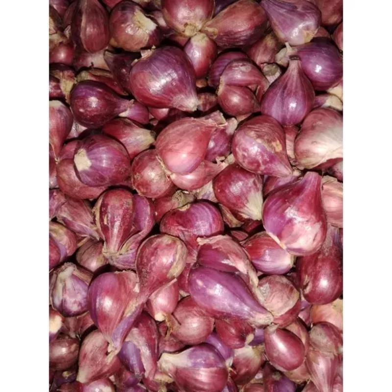 

Bawang Merah BREBES Super