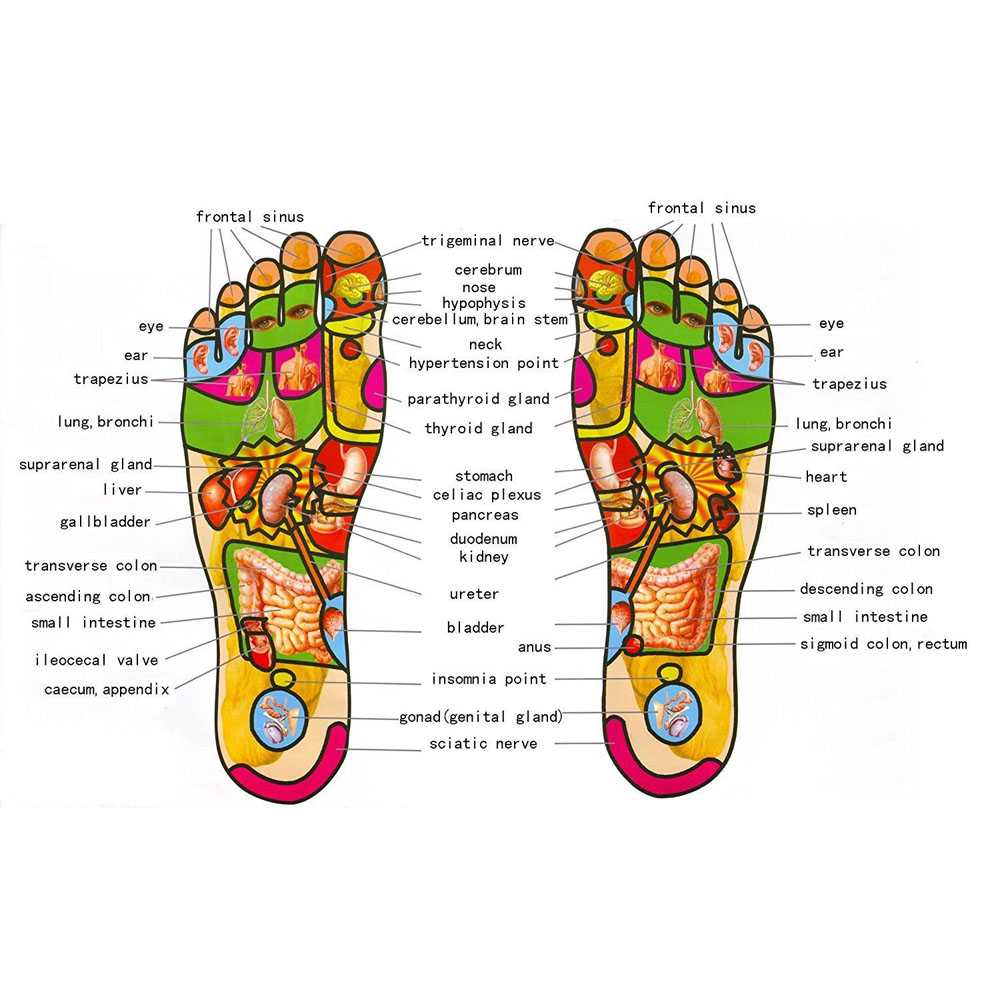 Pijat Kaki Wooden Foot Roller Massager Reflexology 5 Row Alat Pijat Relaksasi Kaki Desain Roller Berkualitas