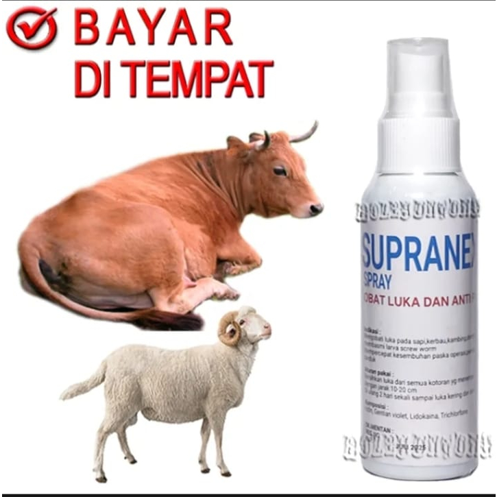 SUPRANEX OBAT SEMPROT LUKA KORENG GUDIX JAMUR SAPI KAMBING ANTI KUTU PARASIT AMPUH