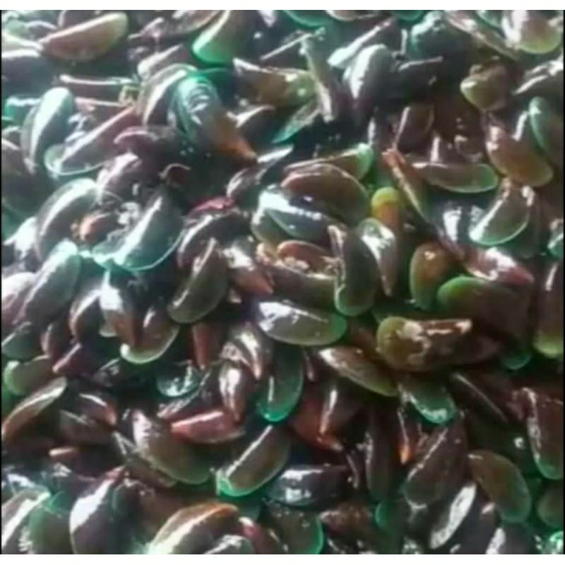 

Kerang Ijo | Kerang Hijau | Kerang Dara Beku