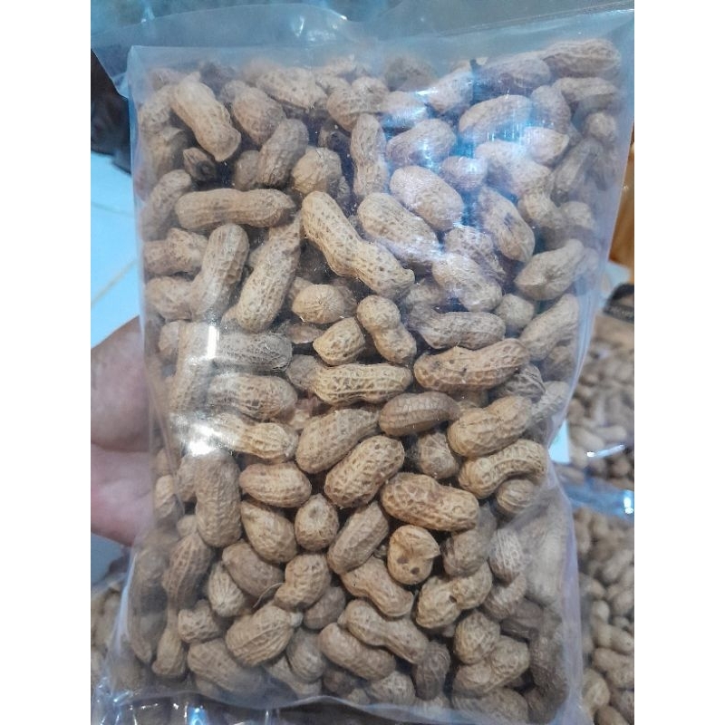 

Kacang Kulit Oven Sangrai 300 gram Rasa Original Gurih Renyah Cemilan Snack Makanan Ringan REAL PICT BONUS PACKING