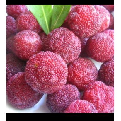 

Byberry cina fresh 1 kg