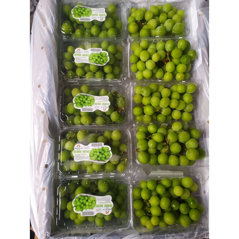 

anggur Shine Muscat manis tanpa biji 500 grm