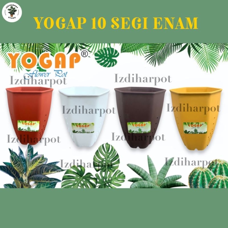 POT BUNGA TANAMAN TINGGI YOGAP 10 SEGI 6 WARNA WARNI - YOGAP YP6 10