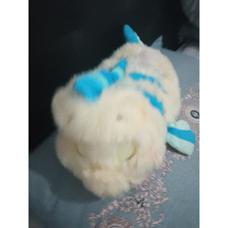 tempat tisue flounder