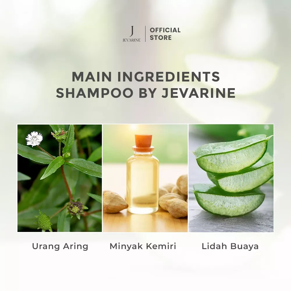 JEVARINE All In One Shampoo - Shampo Perawatan Penyubur Rambut Rontok Tipis Kulit Kepala Ketombe