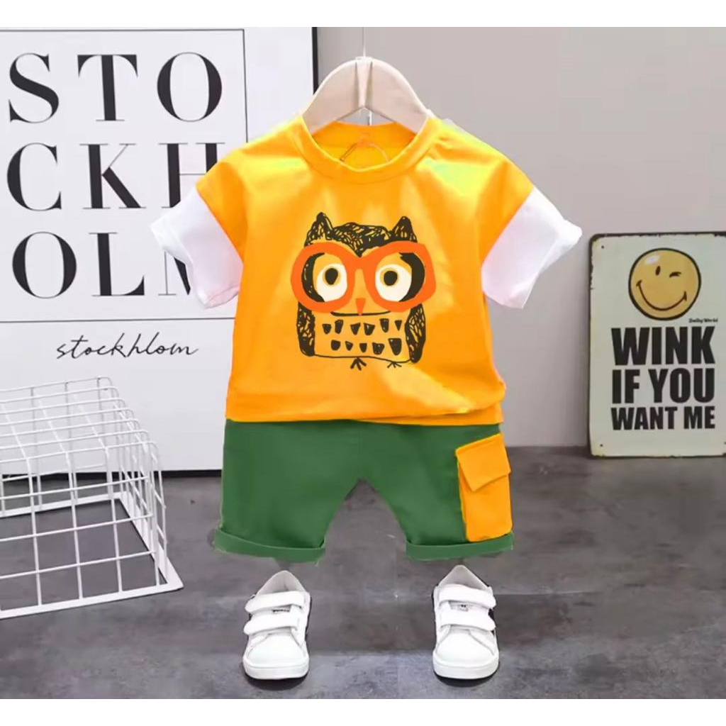 SETELAN KAOS PENDEK ANAK LAKI-LAKI DAN PEREMPUAN USIA 1-5 TAHUN MOTIF KARAKTER OWL TERBARU