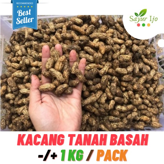 

Kacang Tanah Kulit Basah Mentah 1 KG / Pack Fresh Sayur Segar