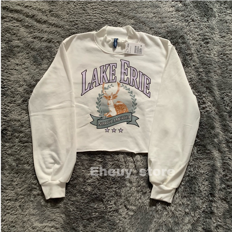 Crop Sweater HM Lake Erie Broken White Crewneck Crop Wanita soft cream