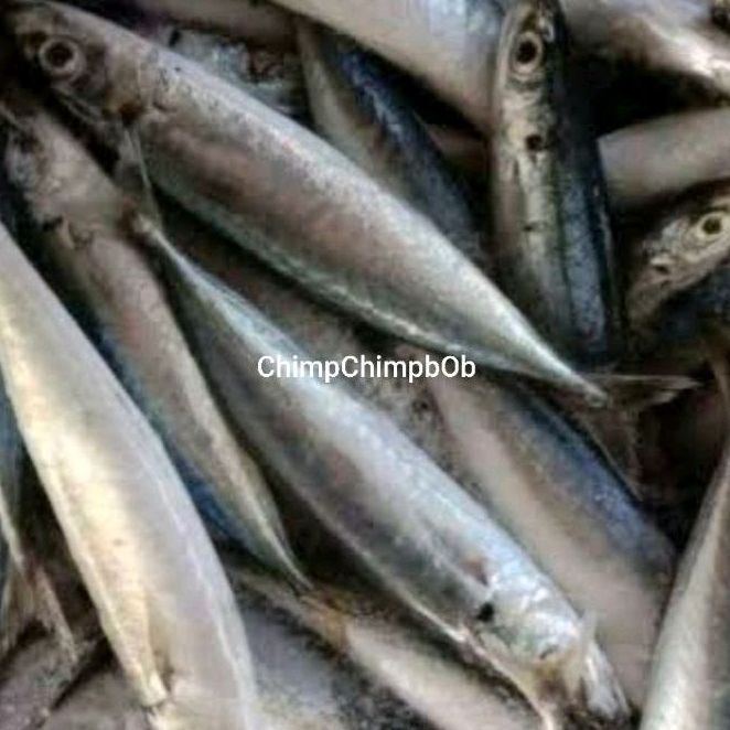 

IKAN LAYANG SEGAR 500 GRAM