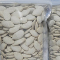 

KWACI HERBAL BIJI LABU KUNING KERING ORGANIK TERMURAH 250 GRAM