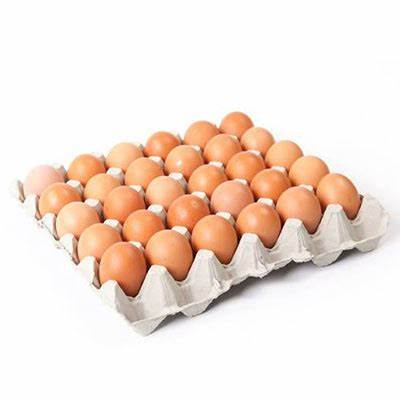 

TELOR 1 PAPAN ISI 30 butir