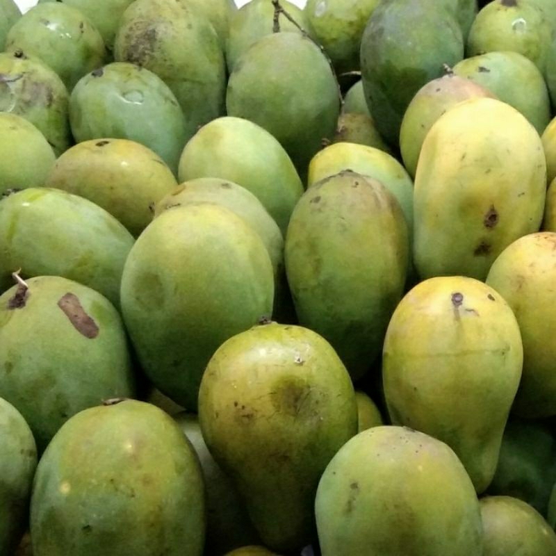 

Mangga harum manis super / mangga harum manis _ 1kg